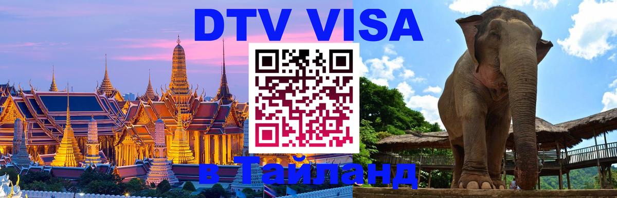 Оформление DTV визы под ключ: стоимость и тарифы, только загранпаспорт - Элиста  20.11.2025 